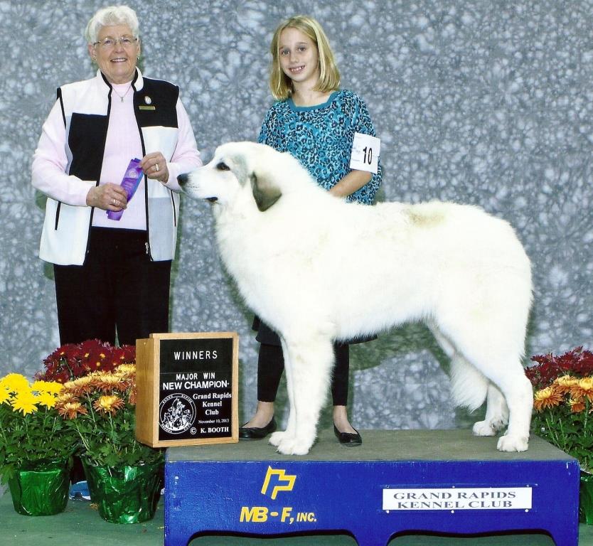 harvest acres great pyrenees